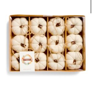 6 ft White Pumpkin Garland